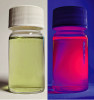 V lahvičce je velmi zředěný extrakt chlorofylu v acetonu (chlorofyl se dobře rozpouští v organických rozpouštědlech). Když na ni ve tmě posvítíme modrým světlem, chlorofyl i přes nízkou koncentraci téměř veškeré světlo absorbuje. Protože ale excitovaný elektron v izolované molekule chlorofylu nemá možnost energii předat dále, vyzáří se zpět v podobě červené autofluorescence s maximem emise při vlnové délce 685 nm. Foto T. Hájek