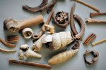 Nálezy ulit plžů a kosterních pozůstatků drobných obratlovců ve výplavu z vrstvy pod archeologicky a paleoekologicky zkoumaným převisem Velký Mamuťák v CHKO Český ráj. Plži žili na místě, zatímco kosti a zuby pocházejí z mrtvých netopýrů a z vývržků sov, které dodnes sedávají i hnízdí na skalních římsách nad převisem. Foto P. Pokorný