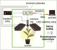Princip měření chlorofylové fluorescence pomocí přístroje – fluorometru: LED světelné zdroje (nejčastěji modré, červené, UVA, bílé...) osvěcují rostlinu světlem, které chlorofyl absorbuje. Část této energie (jen 1–5 %) je rostlinou opět vyzářena jako fluorescenční záření v červené oblasti spektra (700–750 nm). Toto slabé světlo je zachyceno kamerou vybavenou optickým filtrem, který propouští pouze fluorescenci a potlačuje rušivé složky okolního nebo excitačního světla. Celý systém je řízen kontrolní jednotkou, která synchronizuje světelné pulzy s detekcí signálu. Počítač pak zpracovává získaná data a převádí je do podoby grafů nebo falešně barevných snímků, které ukazují míru fotosyntetické aktivity rostliny. Tímto způsobem lze neinvazivně a v reálném čase sledovat stav rostlin a jejich reakce na různé podmínky prostředí. Orig. autoři článku