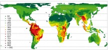 Rozložení biologické rozmanitosti (měřené počtem druhů) ptáků na povrchu Země v rámci čtverců o rozloze přibližně 1 × 1 stupeň, což odpovídá zhruba 100 × 100 km. Jiné taxony vykazují  podobný prostorový vzor, byť ektotermní organismy jsou typicky ještě více soustředěny směrem k rovníku. Většina druhů žije v tropech, ale ne všude: obzvlášť  rozmanité jsou tropické hory, vrcholu dosahuje biologická rozmanitost na svazích And, dalšími ohnisky biodiverzity jsou hory východoafrického oblouku (řetězec pohoří pokračující až na jih a končící jihoafrickým pohořím  Drakensberg) a podhůří Himálají; kromě toho je zvýšená biodiverzita např. v oblasti atlantských lesů (mata atlântica) v Brazílii, ve Střední Americe a také v pásu vulkanických hor v Kamerunu.  Naopak některé nížiny, jako Konžská pánev, jsou na to, jaké v nich panuje  vlhké a teplé klima, relativně chudé. Podle: D. Storch a kol. (2006)