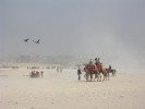 Pouštní bouře na půlhodinu uklidní turistický ruch poblíž Sfingy v Gíze, Egypt. Foto R. Mikuláš