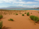 Částečně zpevněná duna červeného pískovce. Nádrž v pozadí je umělá a je zásobena vodou z řeky Virgin River. Sand Mountain (1 221 m n. m.), Utah, USA. Foto R. Mikuláš