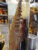 Rameno kalmara Hamiltonova (Mesonychoteuthis hamiltoni) opatřené modifikovanými přísavkami do podoby háků. Ze sbírek britského Natural History Museum v Londýně. Foto M. Košťák