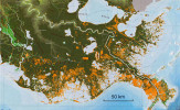 Americká Louisiana ztratila přes 5 000 km2 mokřadů (oranžová barva) za posledních 80 let. Jedním z mnoha důvodů je stoupající hladina moře. Jen v několika místech, kde se sedimenty z řeky Mississippi dostávají k pobřeží (světle ze­lená barva), plocha země přibývá. Upraveno podle: United States Geological Survey