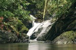 Vodopád potoka Sungai Apam je domovem endemických druhů vodopádových skokanů rodu Staurois. Foto Z. Mačát