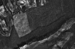 Čerstvě smýcená pařezina na Děvíně na prvním leteckém snímku z r. 1938.  Ve smýceném porostu jsou dobře patrné ponechané výstavky. Foto: Vojenský geografický a hydrometeorologický úřad generála Josefa Churavého, Dobruška