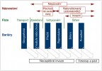 Zobecnění invazního procesu aplikovatelné na všechny organismy ve všech typech prostředí. Invazní proces si lze představit jako sérii stadií oddělených bariérami, které druh musí překonat,  aby se dostal do stadia následujícího.  Při každém přechodu dochází k určitým ztrátám, proto jen část z celkového počtu zavlečených druhů úspěšně zdomácní, nebo dokonce invaduje. V některých  případech může druh po období vrcholného stadia invaze ustoupit a dále přežívat v podobě méně početných naturalizovaných populací (tzv. vzestup a pád, boom and bust). Upraveno podle:  T. M. Blackburn a kol. (2011)