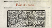 Böjt elő hava – únor v kalendáři z území dnešního Slovenska (Trnava), r. 1579. Vlevo je vidět ořezávání stromu „na hlavu“ sekerou. Pozoruhodná je analogie mezi obr. 2 a 3 – ořezávané vrby stojí v obou případech vedle polí. Z archivu autorů 