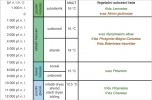 Stratigrafická tabulka se zrekonstruovanými minimálními průměrnými  červencovými teplotami (Minimum Mean July Temperature, MMJT)  odvozenými ze současných nároků  rostlinných druhů, s vyznačením  sukcese vegetace jezera.  Podle: J. Mangerud a kol. (1974), upraveno na základě vlastních dat. Orig. A. Potůčková