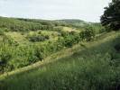 Údolí, kde před 200 lety čeští osadníci zakládali ves Elizabetu. Foto P. Kovář