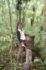 Studentka M. E. Rabotoson při prosívání pralesní opadanky. Národní park Montagne d’Ambre, Madagaskar. Foto P. Baňař