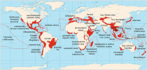 Mapa přibližující současná horká místa globální biodiverzity, která jsou soustředěna zejména v tropickém a subtropickém pásu. Upraveno podle webové stránky Encyclopedia Britannica
