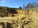 Dosud činná pískovna nedaleko Nýrova, dříve významná paleontologická lokalita křídové (druhohorní) flóry.  Foto H. Skořepa