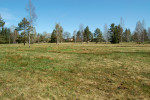 Rašelinná louka v Kameničkách, zkoumaná v rámci mezinárodního programu UNESCO Man and Biosphere (MaB). Foto H. Skořepa