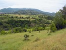 Krajina s rozptýlenou zelení  v Severní Makedonii hojně osídlená  hrdličkou divokou. Foto V. Škorpíková