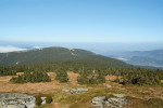 Horní hranice lesa v Hrubém Jeseníku. Typické je postupné uvolňování zápoje a polykormony smrku ztepilého (Picea abies) vystupující nad horní  hranici lesa. U plošně největších  polykormonů byly zaznamenány až tři  generace kmenů klonálního původu. Foto M. Šenfeldr