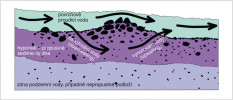 Schéma průtoku vody hyporeálem. Nejvyšší interakce povrchové a intersti-ciální vody se vyskytuje v zónách,  kde se střídá hlubší voda se štěrkopískovými náplavy. Podle M. Bílého kreslila R. Bošková