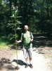 Plně vyvinutá rostlina dosahuje  výšky přes 2,5 m – netýkavka žláznatá  je tak nejvyšší jednoletou bylinou středoevropské flóry. Foto H. Skálová