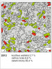 Změny pokryvnosti rostlinných druhů za sledované období – r. 2013, zakreslena horní trvalá plocha (čtverec č. 4). Červeně – kostřava walliská, modře – k. žlábkatá, zeleně – ostřice nízká (Carex humilis), žlutě – ovsík vyvýšený (Arrhenatherum elatius), tečkovaně – všechny ostatní druhy přítomné ve čtverci. Procentuální zastoupení je uvedeno v popisu u každého čtverce. Všechny orig. Z. Hroudová