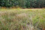 Na lokalitě V Rájích se šupinovka vyskytuje na místech pravidelně  sečených, s převažujícími rašeliníky a nízkými ostřicemi (Carex). Foto J. Holec