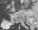 Rozšíření druhu v Evropě. Velikost bodů odpovídá počtu zaznamenaných lokalit v daném regionu. Podle: J. Holec a kol. (2014), upraveno