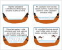Vývojový cyklus jarních druhů komárů v lužních lesích CHKO Litovelské Pomoraví v závislosti na hydrologické situaci v konkrétním roce. Orig. M. Rulík