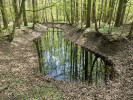 Tůň Hejtmanka v národní přírodní rezervaci Vrapač u Mladče – 28. dubna 2023 v době zvýšení vodního stavu. Foto M. Rulík