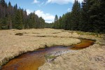 Potok Hučina jeden rok po revitalizaci. Foto I. Bufková a V. Rádková