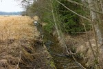 Jedlový potok – regulované koryto. Foto I. Bufková a V. Rádková