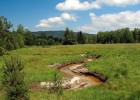 Dolní část revitalizovaného úseku potoka Hučina v nivě Studené Vltavy v blízkosti  Černého Kříže  (národní park Šumava). Už půl roku  po revitalizaci vidíme sílu vody, nově postavené koryto je přetvářeno erozí břehů, budováním štěrkových lavic  i depozicí sedimentů ven na břehy.  Proměna uměle  vyhloubeného koryta v různorodý potok  je jako kapitola  z učebnice limnologie, která vypráví o přírodních procesech. Foto V. Rádková