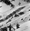 Jedoucí desková lavina v horní části Kratochvílovy stráně, která se kousek před námi právě odtrhla pod Wilschowitzovými výchozy. Foto 1. dubna 1976. Foto L. Bureš