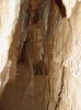 Mladečské jeskyně jsou biotopem troglofilní plochulky půdní (Macrosternodesmus palicola). Foto P. Dolejš