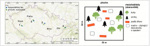 Vlevo mapa rozmístění studovaných dvojic hospodářských smrkových lesů a přilehlé přírodní rezervace napříč Českou republikou, vpravo schematický přehled a rozmístění studovaných stanovišť (mezohabitatů) na jedné ploše. Orig. K. Svobodová