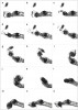 Larva koretry rodu Chaoborus chytá juvenilní hrotnatku obecnou (Daphnia pulex). Ze záznamu vysokorychlostní kamery (snímková frekvence 8 000 fps), mezi obrázky b a h uběhlo 14,9 ms. Orig. S. Kruppert, převzato  se souhlasem autorů (Kruppert a kol. 2019).