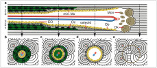 Schéma přestavby kosti v kompaktě. Osteoklasty (Ok) vyvrtávají zleva doprava tunel, který osteoblasty (Ob) vyplňují novými kostními lamelami. Z osteoblastů se stanou osteocyty (Oc); nejmladší osteo - blasty se stanou buňkami endostu (EO). Podélný řez (obr. a) a příčné řezy (obr. b–e; v úrovních označených šipkami v obr. a). Šedě jsou zvýrazněny jen tři osteony, které byly před vznikem tunelu úplné; žlutý kruh (obr. e) vyznačuje obvod blížícího se tunelu. Krevní cévy červeně a modře, * vyrůstající výběžek cévní kličky. Mon – mononukleární předchůdci osteoklastů. Osteoid světle zeleně, mineralizovaná matrix tmavozeleně (min. Mx). Upraveno podle: R. Lüllmann-Rauch (Histologie, 2009, česky 2012), kreslila R. Bošková