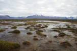 Jarní arktická tundra nasáklá vodou. Foto M. Devetter