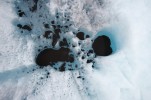 Sediment na povrchu ledovců vytváří velmi specifické prostředí – kryotelmy – oživené bohatým mikrobiálním společenstvem, ale i želvuškami a vířníky. Foto M. Devetter