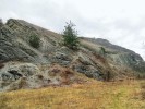 Přírodní rezervace Homolka  poblíž Velké Chuchle představuje  učebnicovou ukázku skalní stepi  s několika druhy krasců rodů  Trachys a Habroloma. Foto S. Bílý