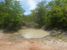 Průběh vysychání tůně obývané halančíky v subtropické savaně jižního Mosambiku může být velmi rychlý. Po dvou týdnech od zaplavení jsme v tůni již lovili dospívající plně vybarvené samce halančíka tyrkysového. Foto M. Vrtílek