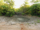 Průběh vysychání tůně obývané halančíky v subtropické savaně jižního Mosambiku může být velmi rychlý. O další týden později ale byla tůň již prakticky bez vody.  Foto M. Vrtílek