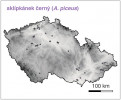 Rozšíření sklípkánka černého (Atypus piceus) v České republice. Vidíme u něj přechodné postavení. Orig. M. Řezáč