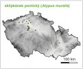 Rozšíření sklípkánka pontického (Atypus muralis) v České republice. Druh s nejtěžšími mláďaty, má dnes reliktní rozšíření. Orig. M. Řezáč