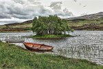 Řeka Blackwater v Irsku – pozůstatky kranogu na slepém rameni. Foto F. Winkler, převzato z Pixabay, v souladu s podmínkami použití