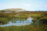 NP Burren, rovněž území Irska. Nížina, převážně rovina. Mozaika ploch s různě vysokou hladinou podzemní vody, analogie někdejší mozaiky doubrav a mokřadů, zdrojů subfosilních kmenů. Foto L. Lisaght, převzato z Pixabay, v souladu s podmínkami použití