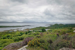 NP Killarney, nejstarší objekt ochrany přírody v Irsku, zřízený r. 1932. Vyobrazené části jsou 90 let ponechány přirozenému vývoji. Foto H. Walsh, převzato z Pixabay, v souladu s podmínkami použití