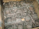 Kosti františkánů zabitých v r. 1611 a uložené ve schráně v kostele Panny Marie Sněžné v Praze. Jejich identifikace byla provedena na základě zranění  souvisejících s násilným úmrtím. Foto P. Velemínský