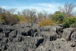 Vápencové tsingy Ankarana na severozápadě ostrova. Foto V. a R. Rybkovi