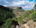 V národním parku Isalo se zachovaly původní sklerofylní tapiové lesy. Foto V. a R. Rybkovi