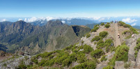 Nejvyšší stupeň horské vegetace až do nejvyšších poloh (Pico Ruivo 1 862 m n. m.) porůstá kromě místních endemitů invazní janovec metlatý (Cytisus scoparius). Foto T. Kučera