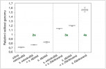 Rozdíly v relativní velikosti genomu ve skupině sítiny článkované, zahrnující dva diploidní druhy a diploidního křížence mezi nimi, jeden tetraploidní druh a dva triploidní hybridy vznikající křížením diploidních druhů s tetraploidním druhem. Na ose y je vynesen poměr mezi velikostí genomu vzorků a standardu; jako standard byl použit lilek višňový (Solanum pseudocapsicum). Orig. J. Prančl 